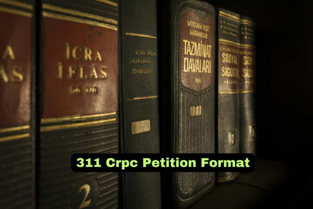 311 Crpc Petition Format