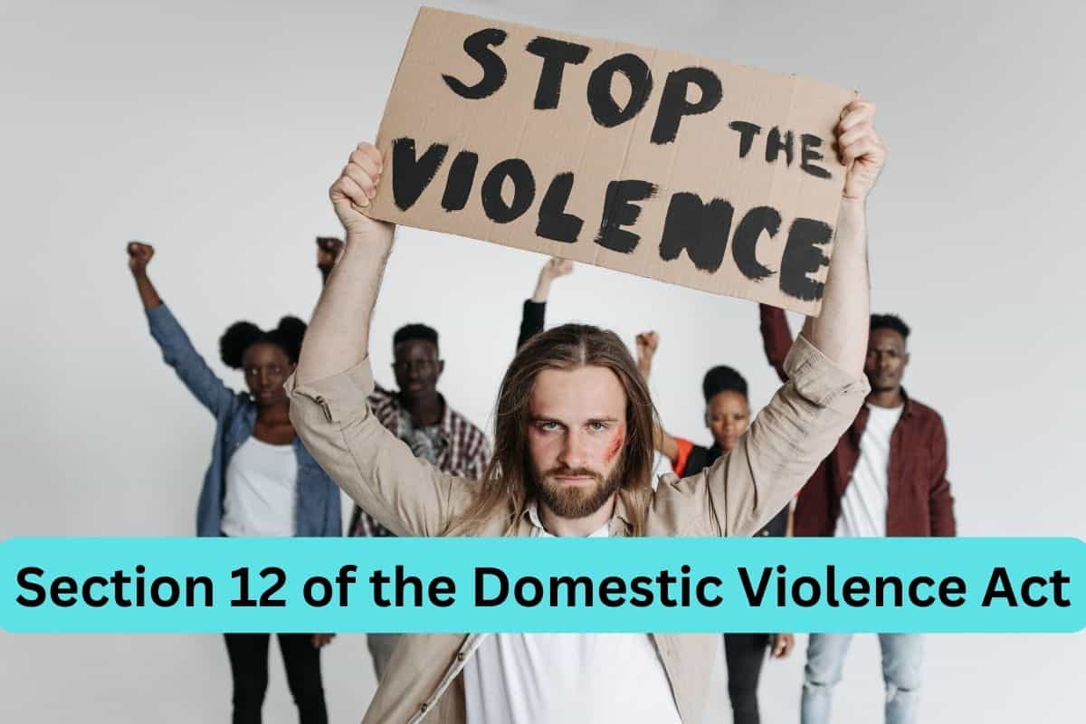 section 12 of domestic violence act