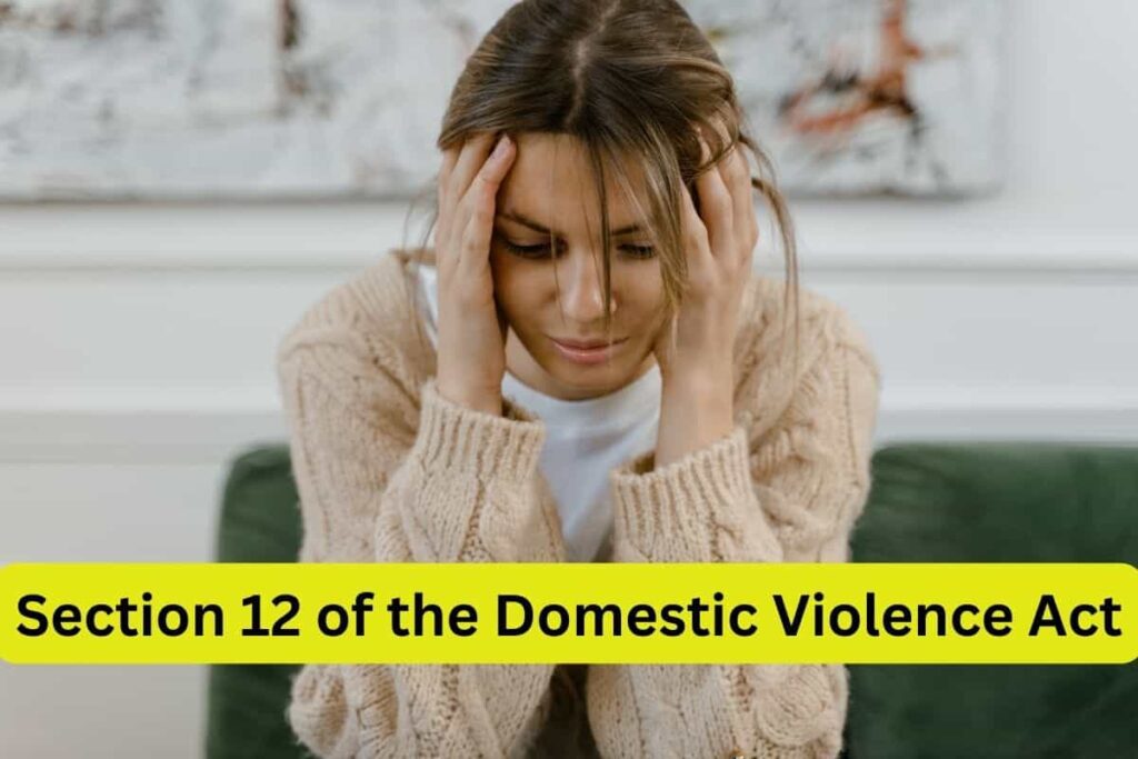 Section 12 of the Domestic Violence Act