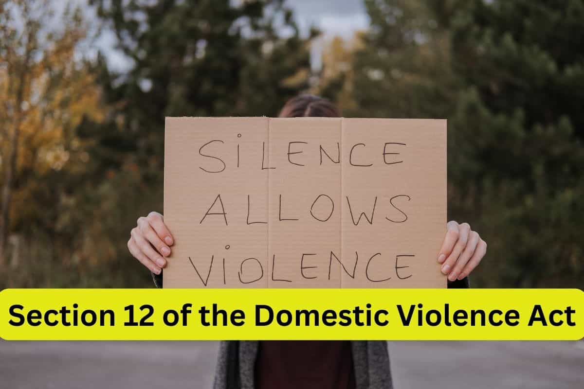 Section 12 of the Domestic Violence Act