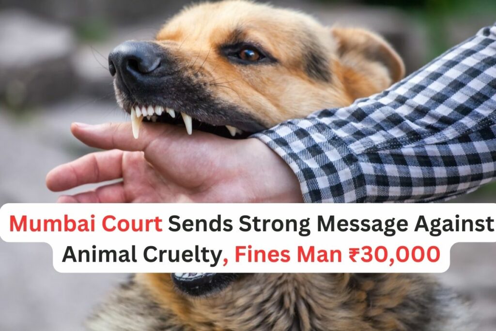 Mumbai Court Imposes Hefty Fine on Man for Killing Dog